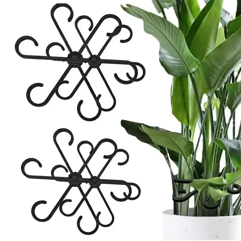 Variegated Monstera Node - دعامات أوراق نباتات الألوكاسيا والمونستيرا، 4