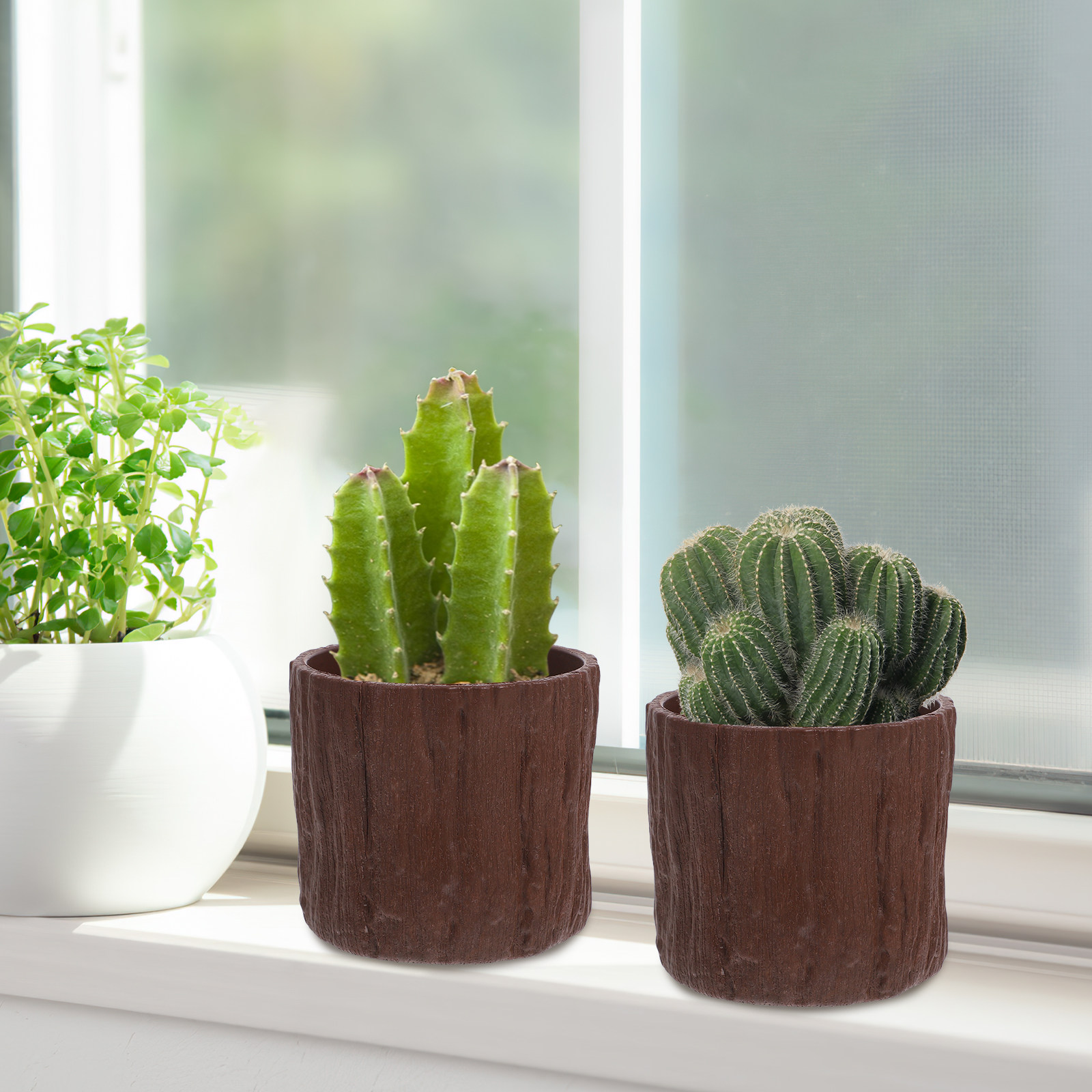 4 قطع من أواني الزهور البلاستي - مراجعة Succulent Arrangement Mini وسعره