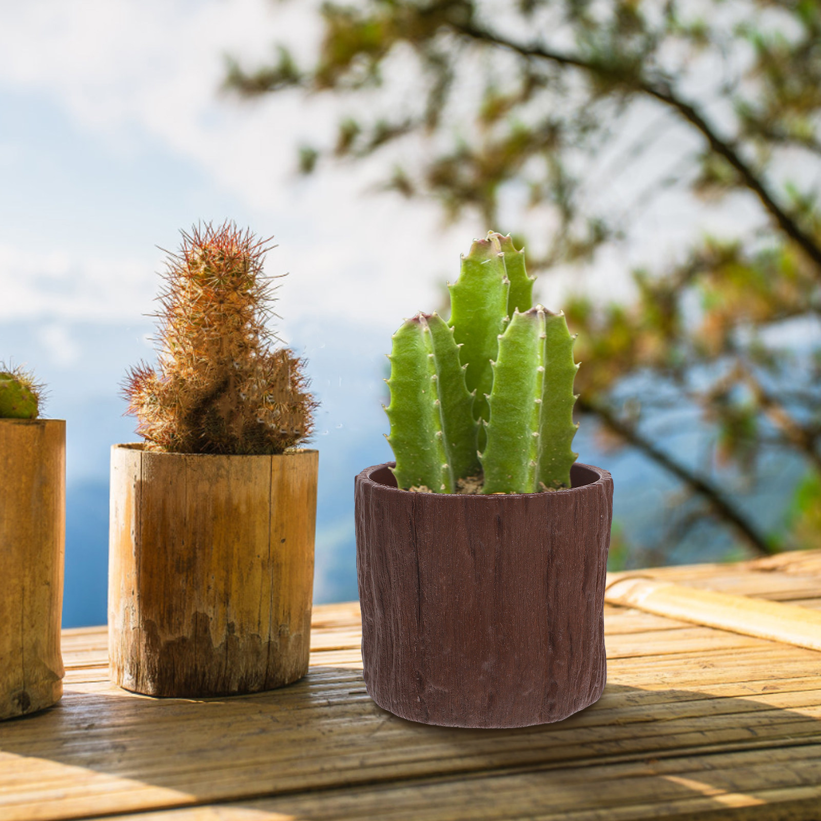 4 قطع من أواني الزهور البلاستي - مراجعة Succulent Arrangement Mini وسعره