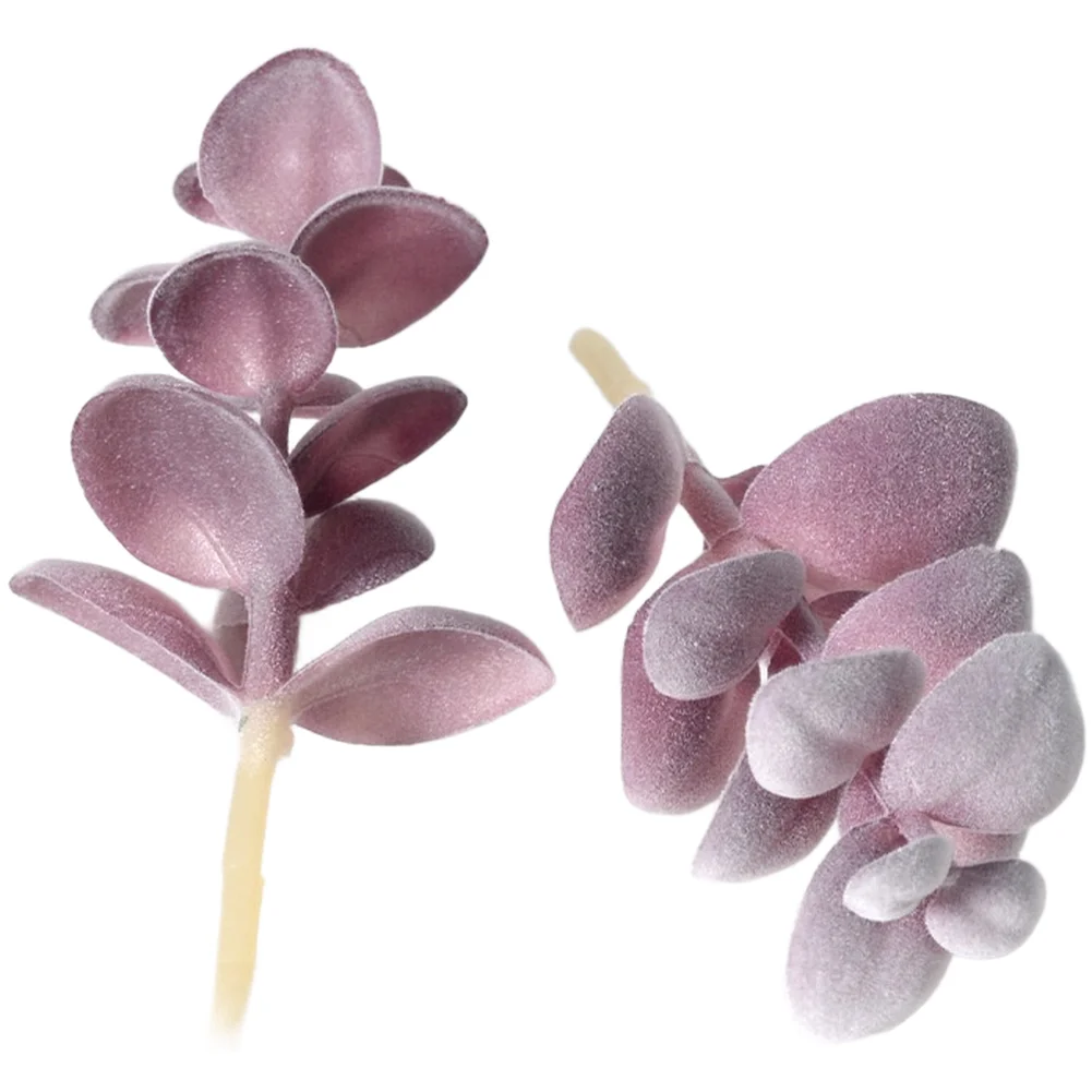 نباتات عصارية صناعية بنفسجية م - مراجعة Succulent Arrangement Mini وسعره