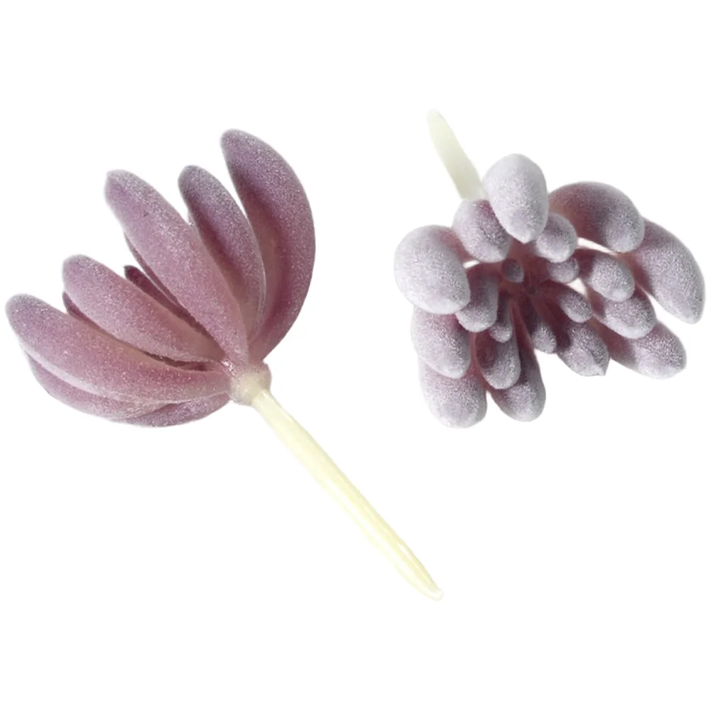 نباتات عصارية صناعية بنفسجية م - مراجعة Succulent Arrangement Mini وسعره