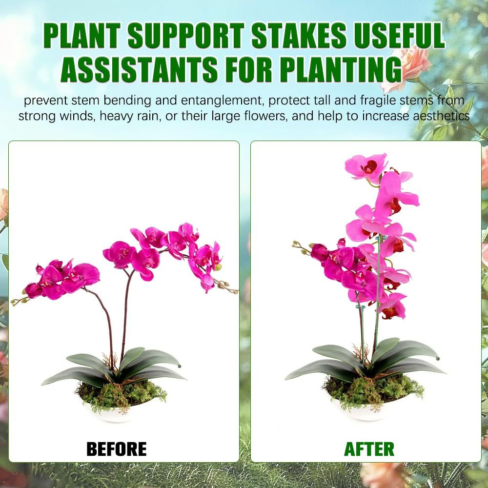 5/10 قطعة يدعم النبات حامل الف - مراجعة Plant Parent Tools وسعره