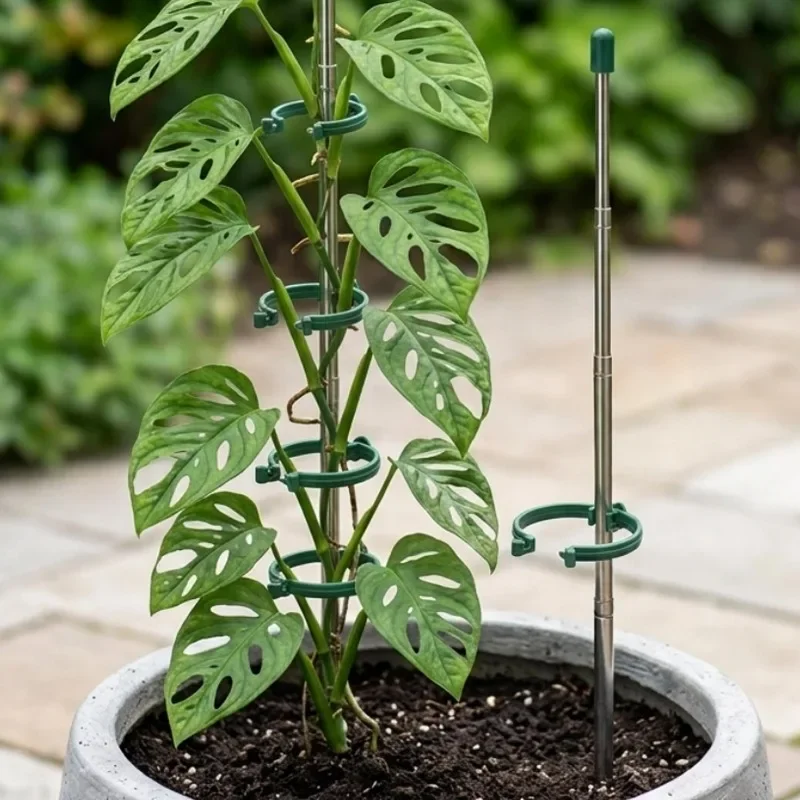 5/1 قطعة حلقة دعم نباتات قابلة - مراجعة Plant Parent Tools وسعره