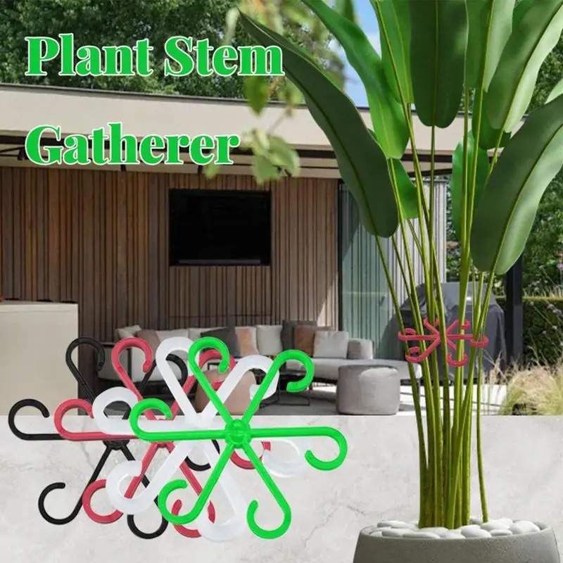 4 قطعة مقاطع دعم نباتات التسلق - مراجعة Variegated Monstera Node وسعره