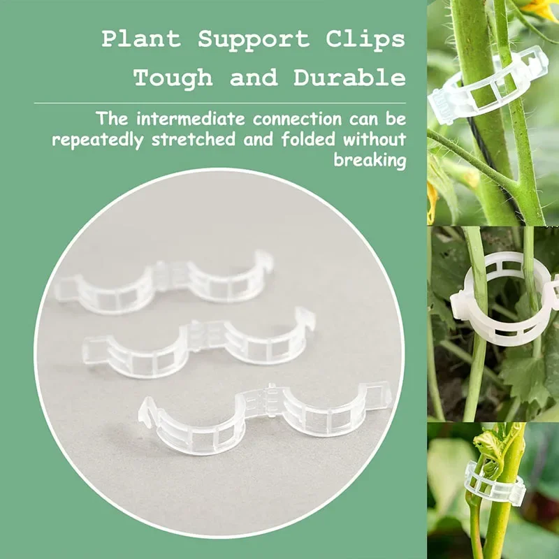 100 قطعة مقاطع تثبيت النباتات  - مراجعة Plant Parent Tools وسعره