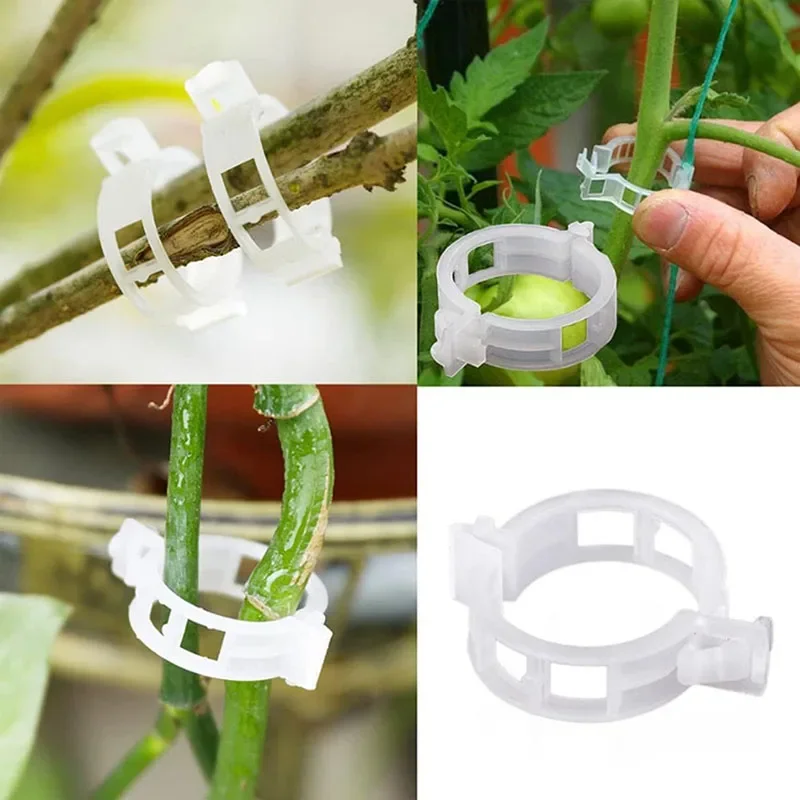 100 قطعة مقاطع تثبيت النباتات  - مراجعة Plant Parent Tools وسعره