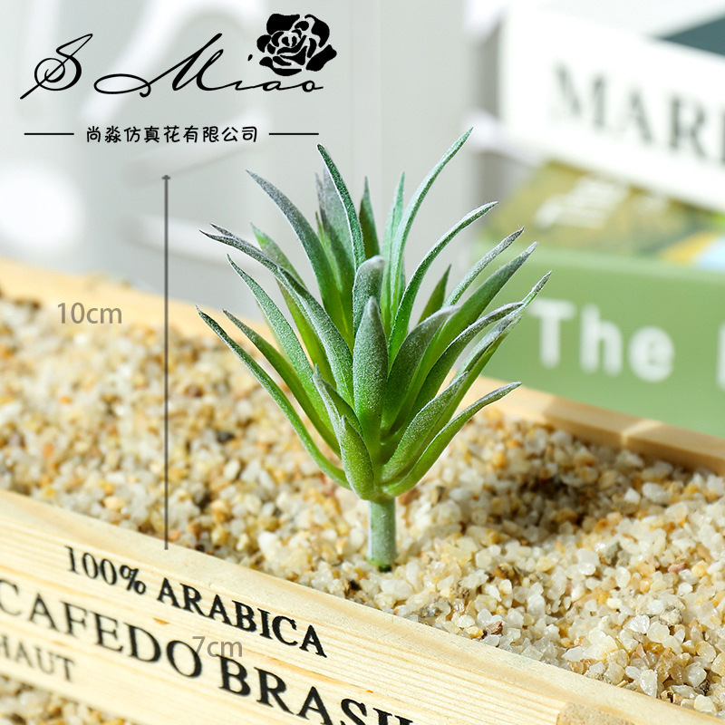 نباتات لينغ جياو كاو الصناعية  - مراجعة Succulent Arrangement Mini وسعره