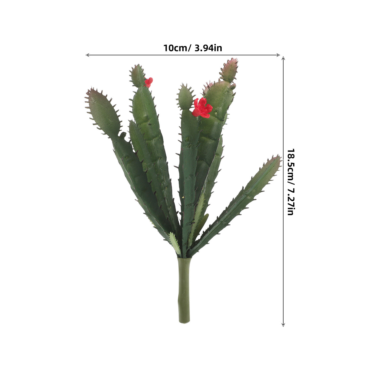 ترتيب صغير من النباتات الصناعي - مراجعة Succulent Arrangement Mini وسعره