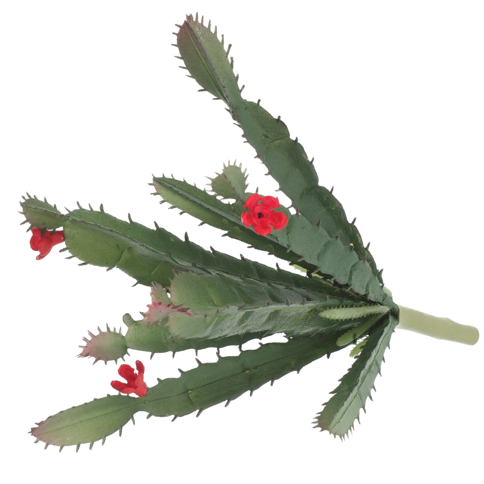 ترتيب صغير من النباتات الصناعي - مراجعة Succulent Arrangement Mini وسعره