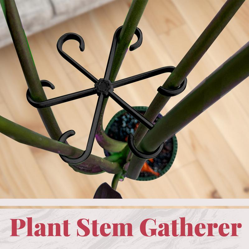 4 قطعة مقاطع دعم نباتات التسلق - مراجعة Variegated Monstera Node وسعره