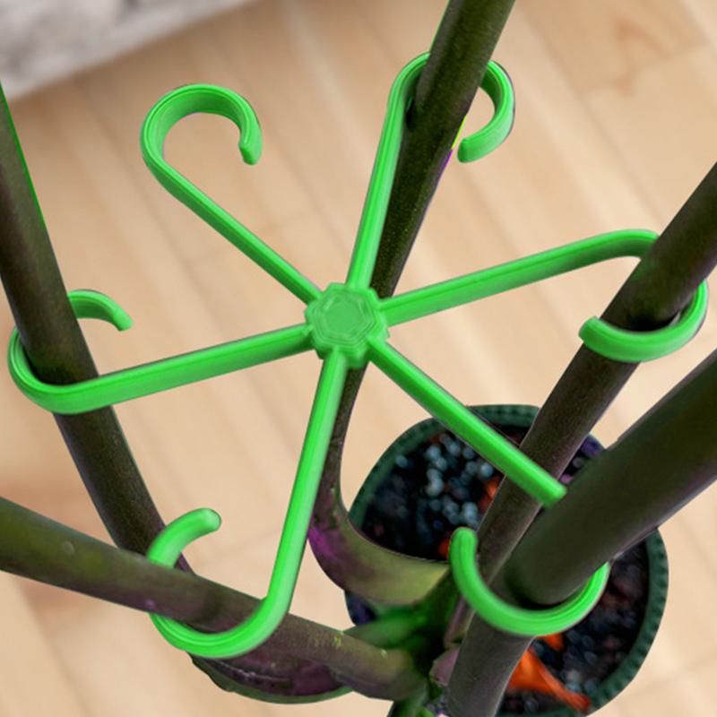 4 قطعة مقاطع دعم نباتات التسلق - مراجعة Variegated Monstera Node وسعره
