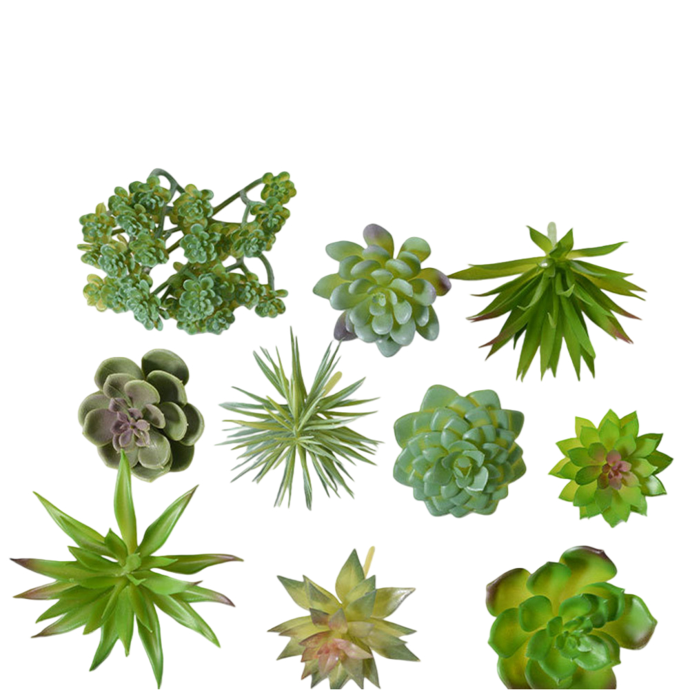 ترتيب نباتات صبار صناعية صغيرة - مراجعة Succulent Arrangement Mini وسعره
