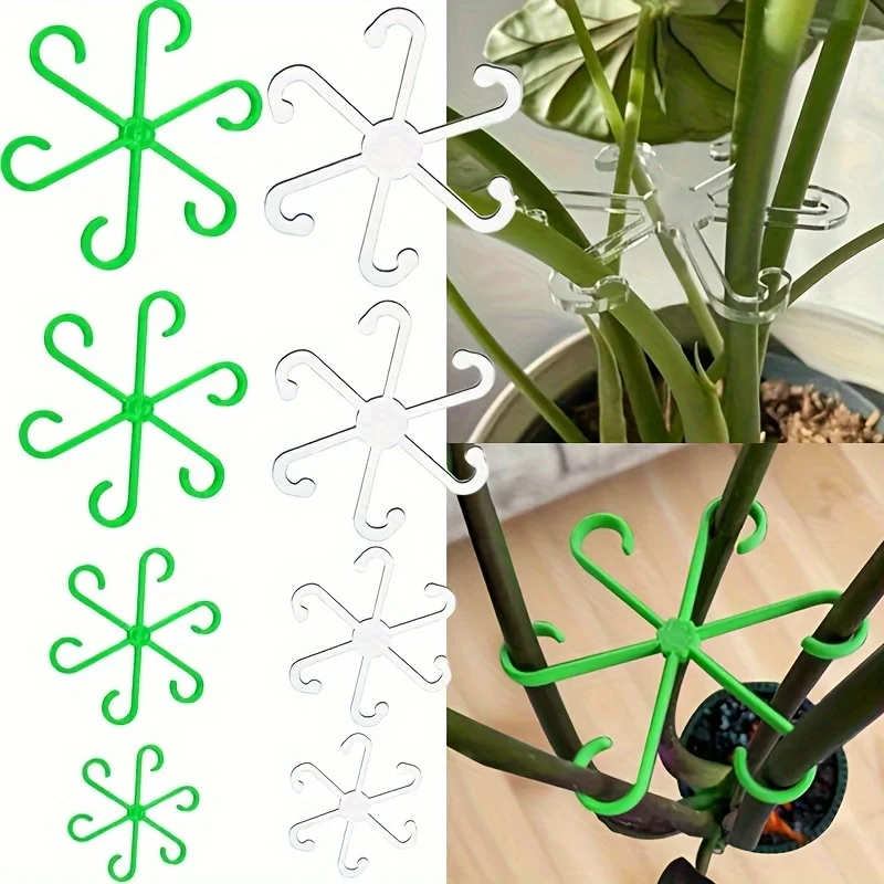 4 قطع مشابك دعم للنباتات المتس - مراجعة Variegated Monstera Node وسعره