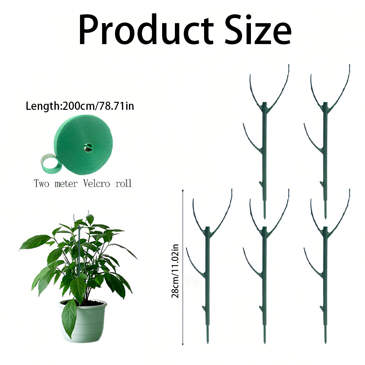 6 قطع من دعامات نباتات المونست - مراجعة Variegated Monstera Node وسعره