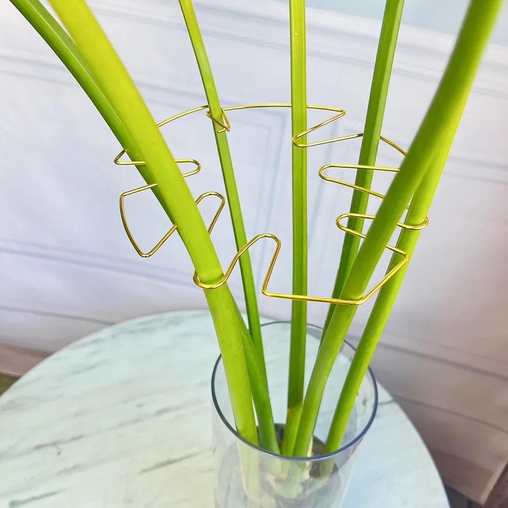 حامل نباتات كبير للاستخدام الد - مراجعة Variegated Monstera Node وسعره