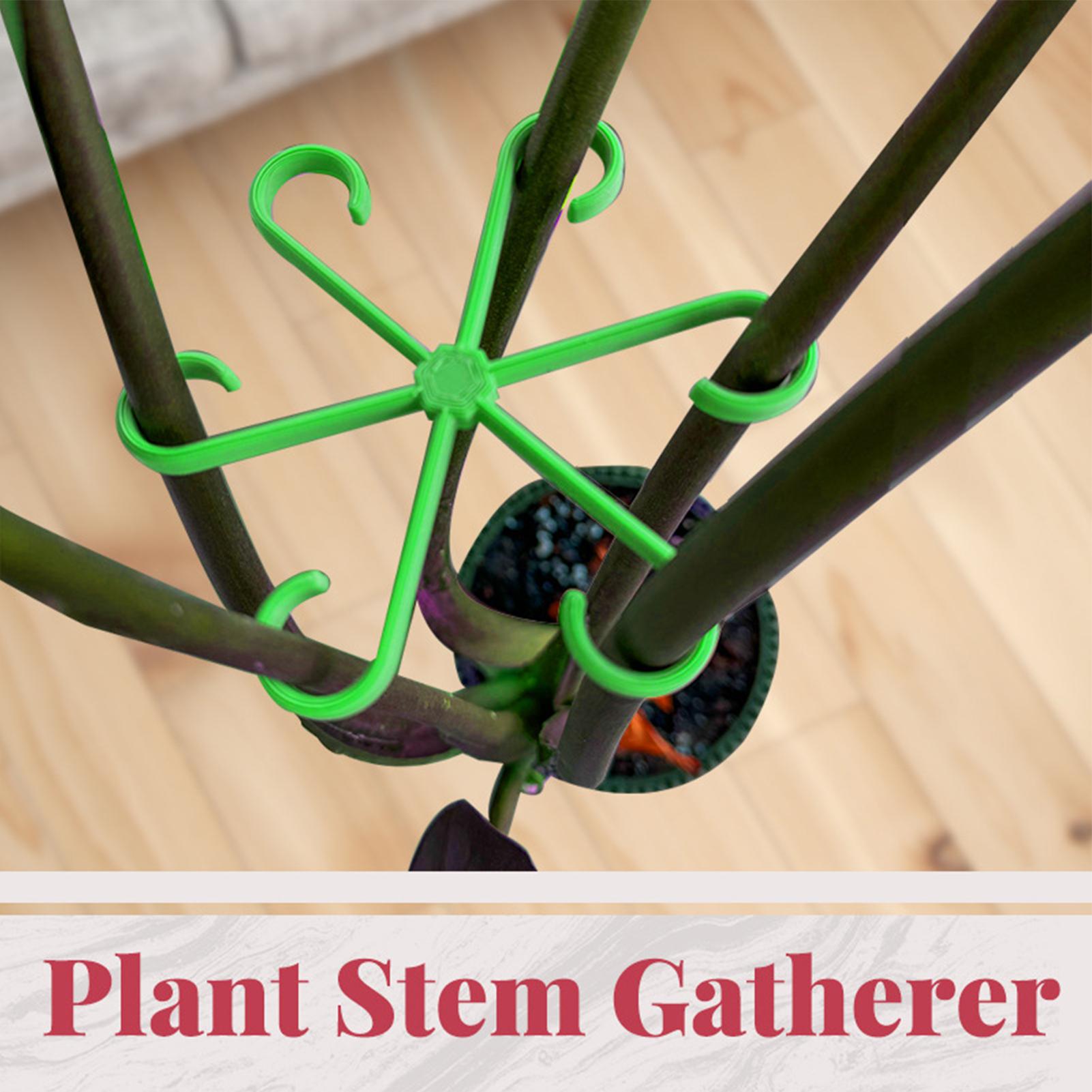 4 قطع مشابك دعم سيقان النباتات - مراجعة Variegated Monstera Node وسعره