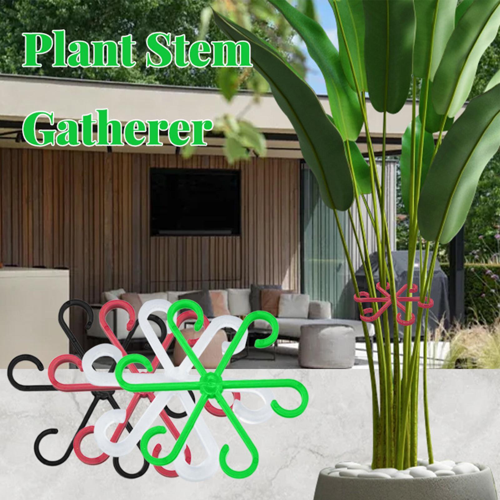 4 قطع مشابك دعم سيقان النباتات - مراجعة Variegated Monstera Node وسعره