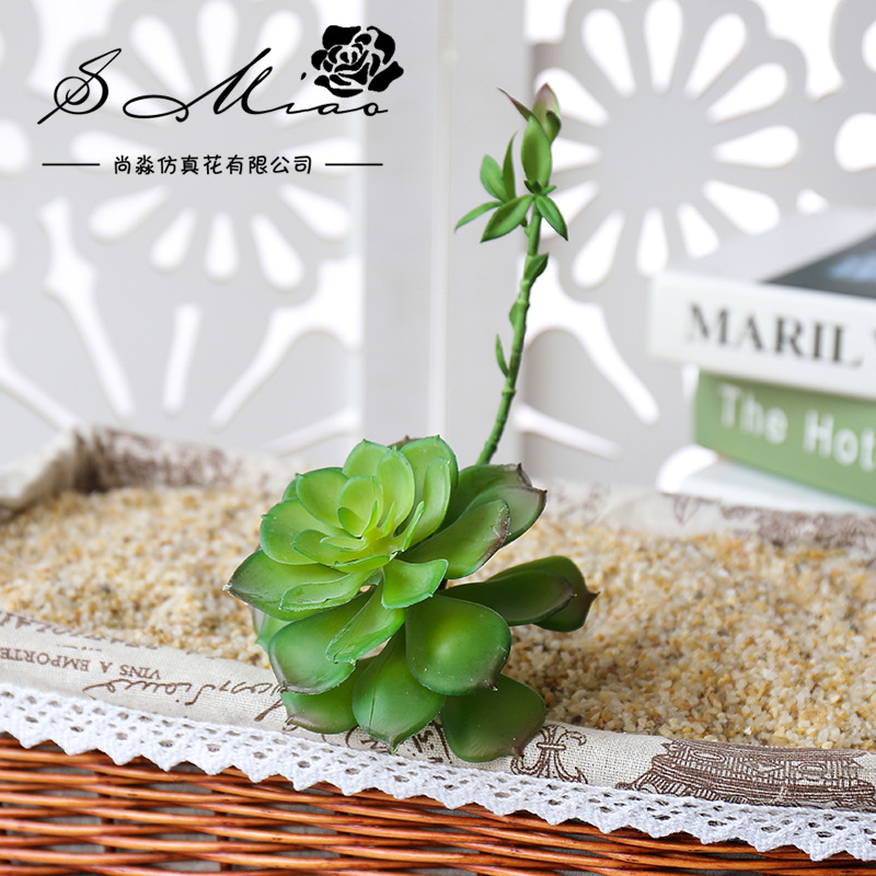 Wusmart-zhong Lian عصارة صناعي - مراجعة Succulent Arrangement Mini وسعره